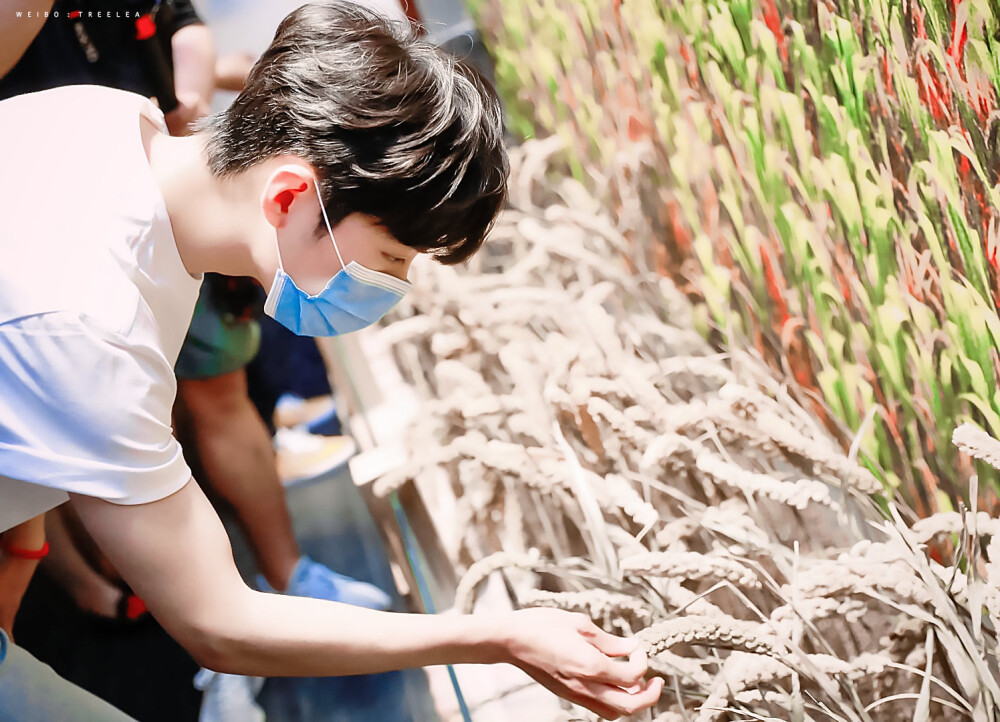 复出|从顶流小生到高危艺人，复出之路何去何从