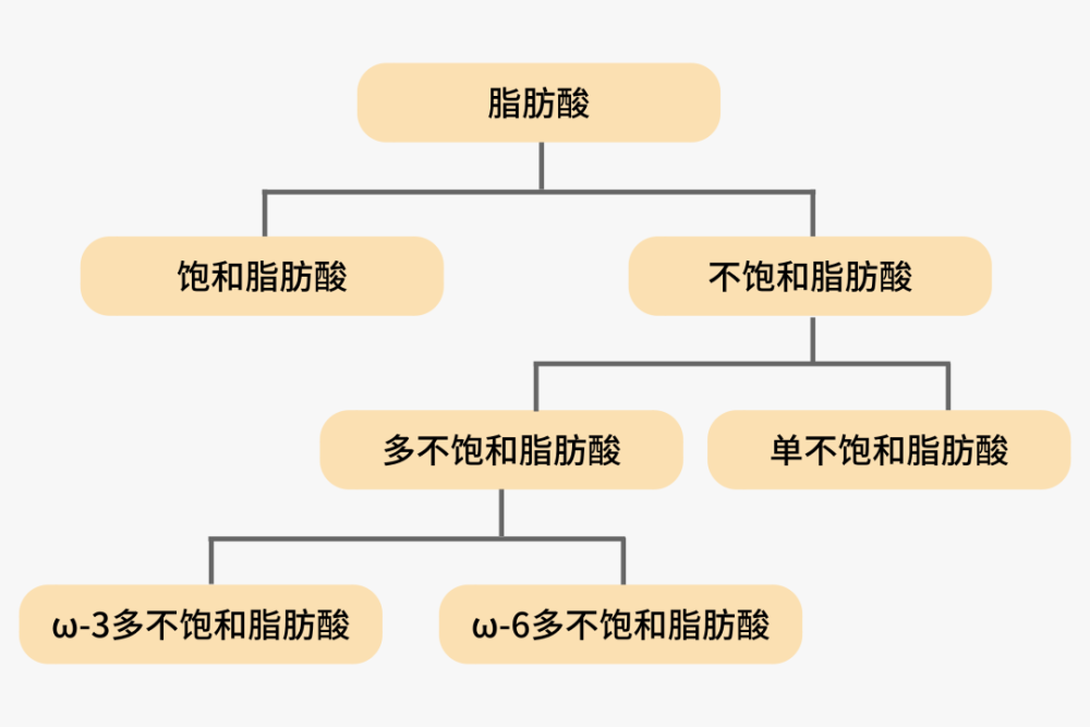 油脂裡的反式脂肪酸即將被拉入黑名單