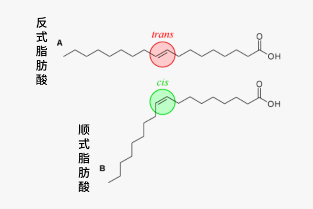 反式脂肪酸结构图图片