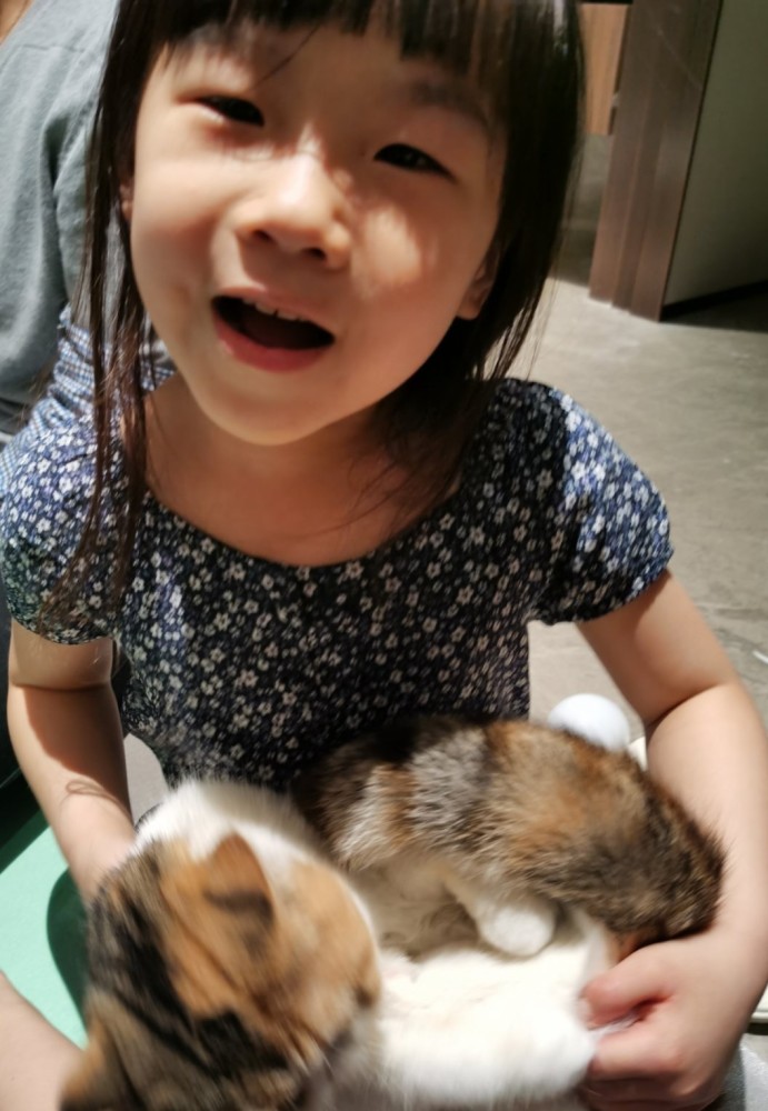 岳云鹏|岳云鹏大方告白：宝贝生日快乐！永远爱你！