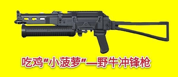 吃鸡"小菠萝"——野牛冲锋枪