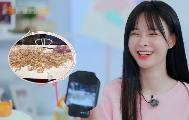 沈梦辰|沈梦辰深夜再发文，越长大越脆弱，月初刚被质疑与杜海涛感情生变