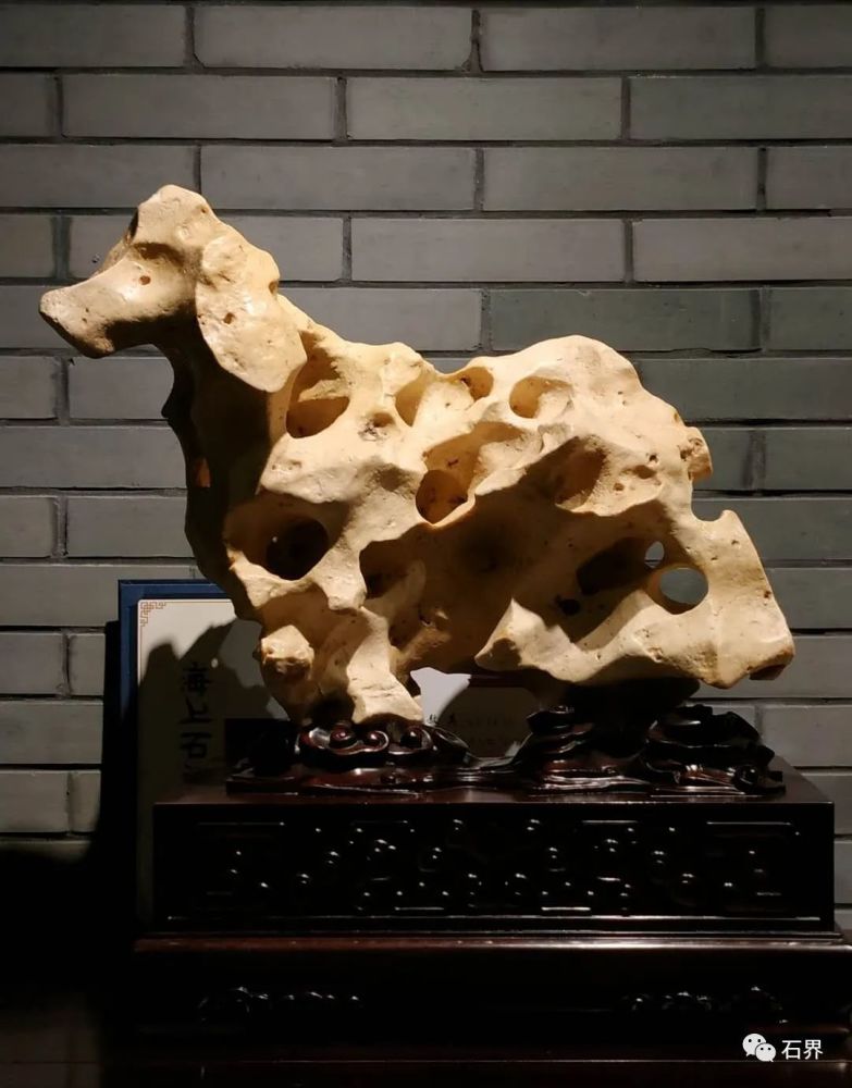 中国观赏石协会|38万成交！国外石种再被关注