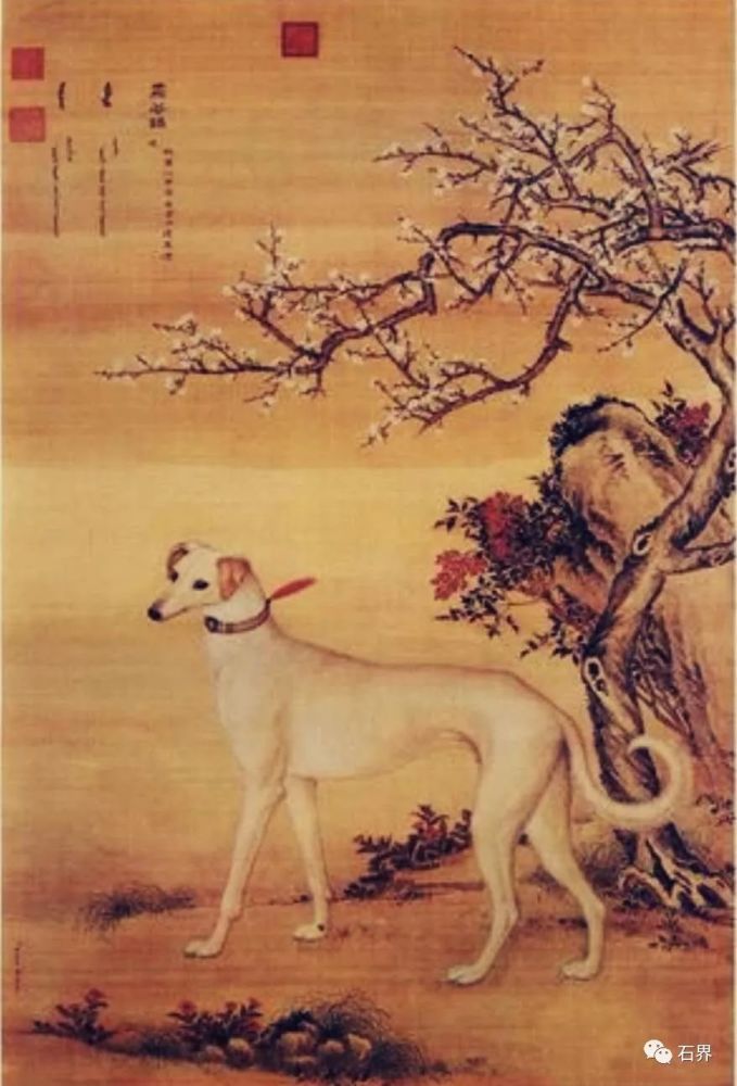 中国观赏石协会|38万成交！国外石种再被关注