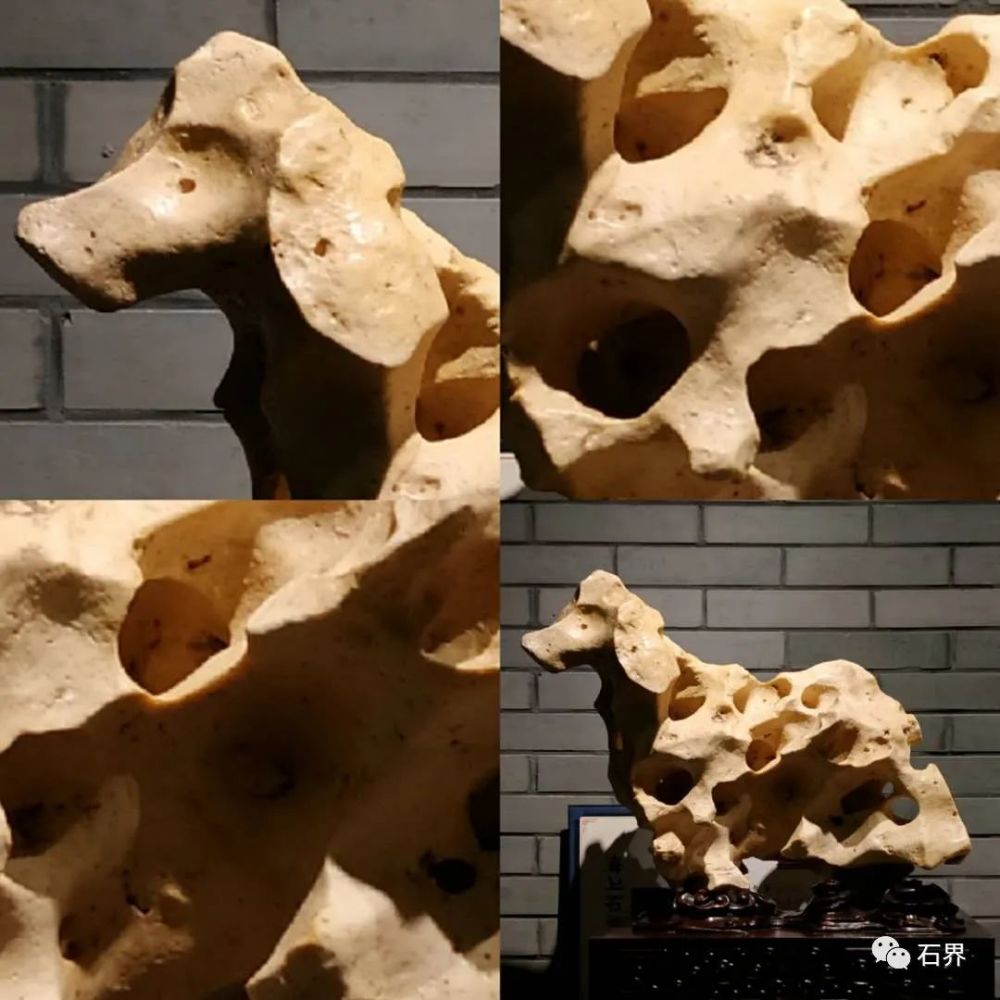 中国观赏石协会|38万成交！国外石种再被关注