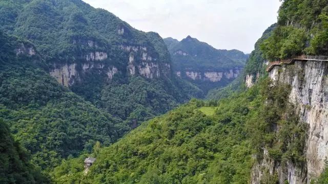 油杉河大峽谷峰林如箭芒高崖入雲端是畢節又一代表性景區