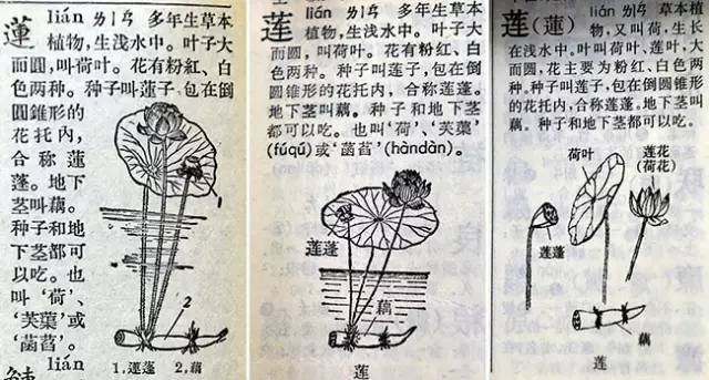 新华字典|70岁的它，上新了！你肯定看过其中一版