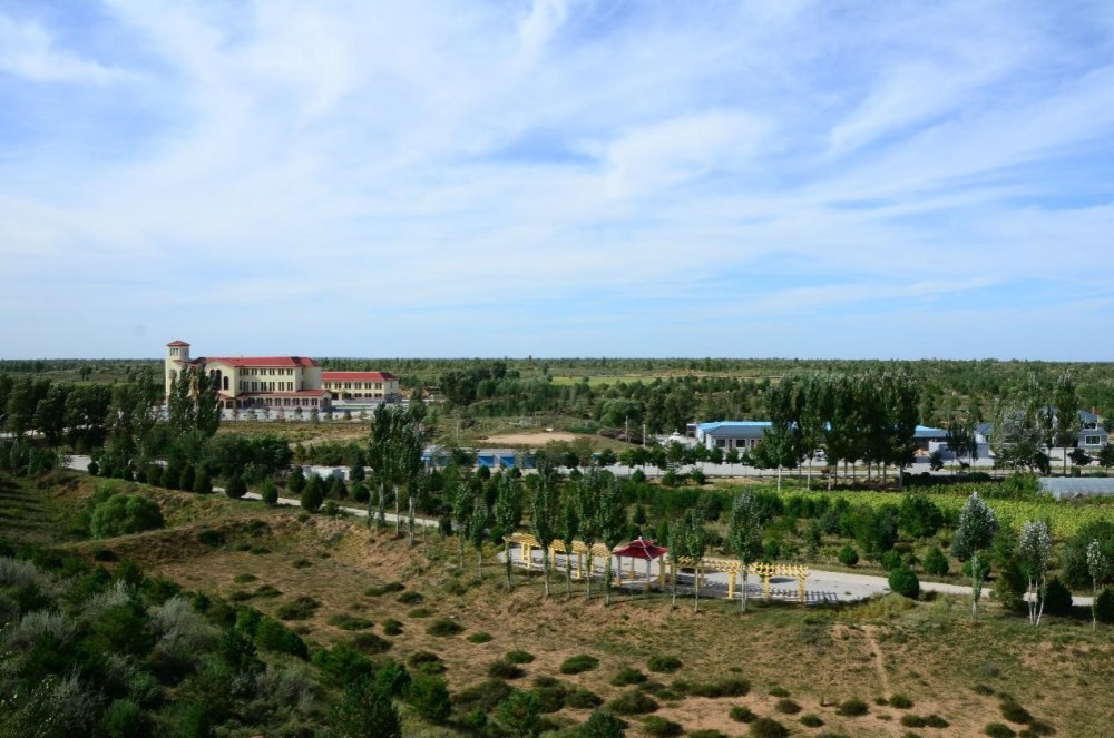 如今,殷玉珍林场小有规模,绿色越来越多.