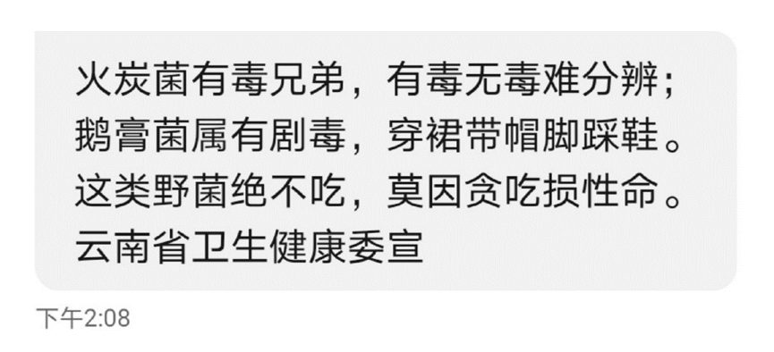 蘑菇|不要把任何一种蘑菇轻易丢进嘴里！