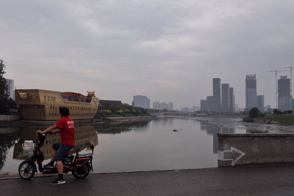 白鹭|北京各河段提前降低水位，滩涂迎来白鹭觅食