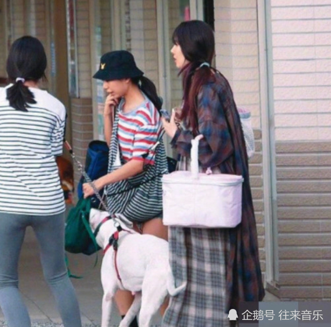 郭碧婷|向佐发文宣布当爸，这次连郭碧婷也懒得配合？网友：不装了！