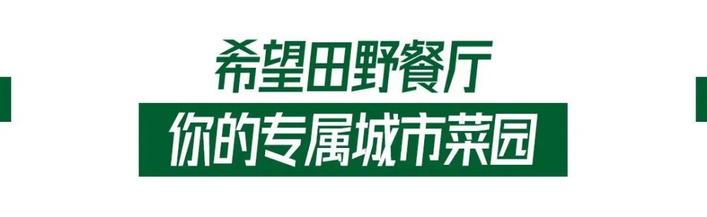 为一把野菜在南宁凤岭北斥1000万打造田园餐厅 太豪横了 腾讯新闻