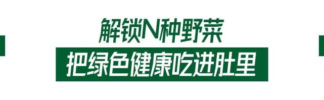 为一把野菜在南宁凤岭北斥1000万打造田园餐厅 太豪横了 烧烤 野菜 南宁 火锅 鹅肉