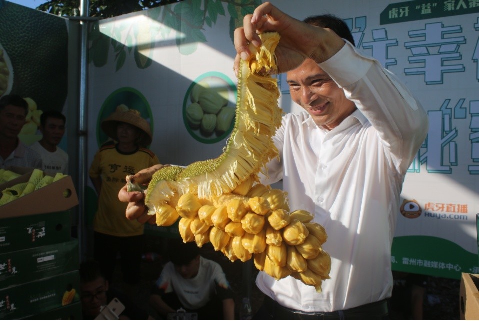 菠萝蜜|湛江雷州：榴莲菠萝蜜变成“贵族水果” 一售而空