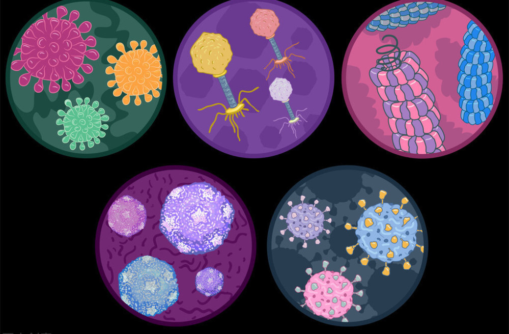 病毒|地球上万物都是相生相克的，那么病毒在自然界有天敌吗？