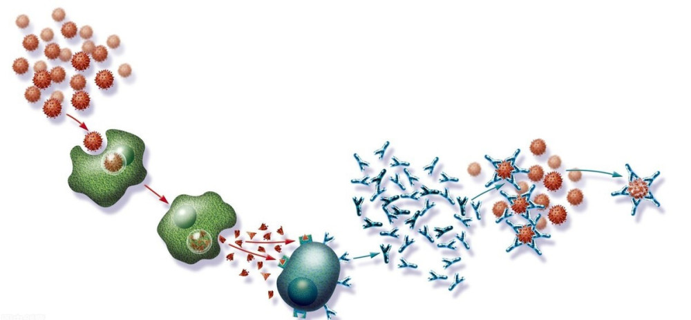 病毒|地球上万物都是相生相克的，那么病毒在自然界有天敌吗？