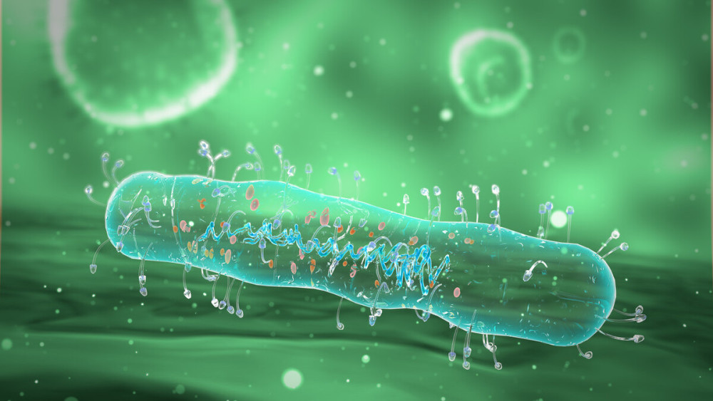 病毒|地球上万物都是相生相克的，那么病毒在自然界有天敌吗？