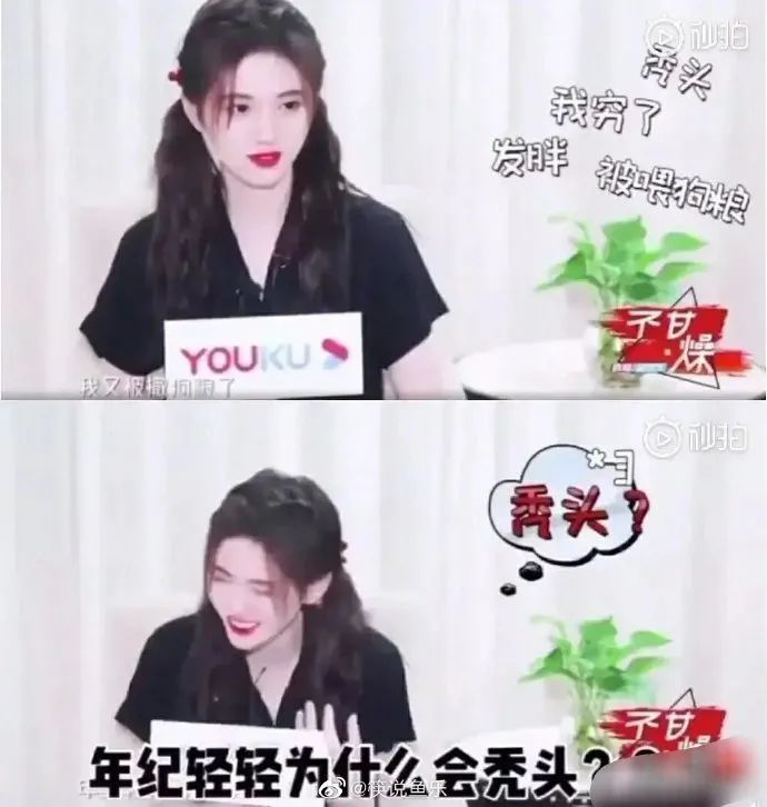 鞠婧祎|他俩上热搜竟然不是因为恋情？