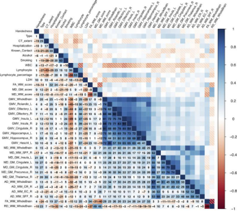 新冠病毒|新冠病毒入侵人体高级“司令部”真相
