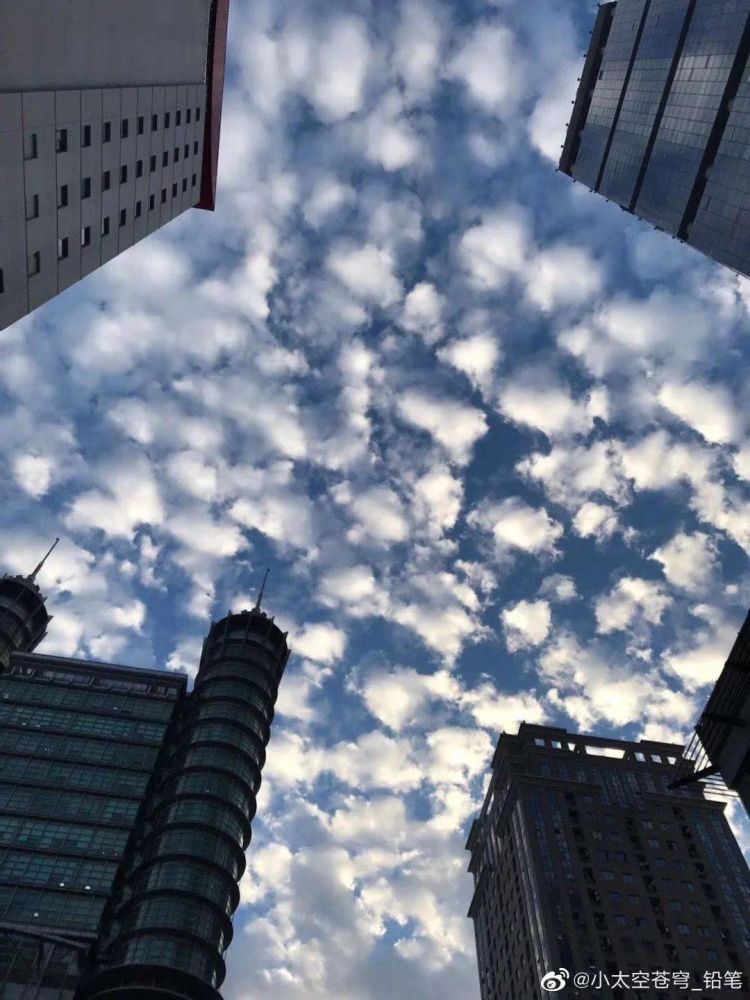 上海|副高来了！上海天空出现“鱼鳞斑”，分析：今年最持久高温的征兆