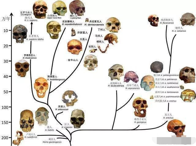 地球|地球上最早的两个人是谁，是什么变成的，为什么是一男一女才繁殖下一代？