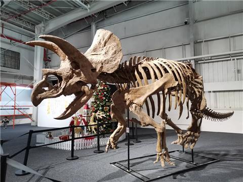 恐龙|史前灭绝的恐龙是怎么生存的？整个地球全部都是恐龙是怎样的世界？