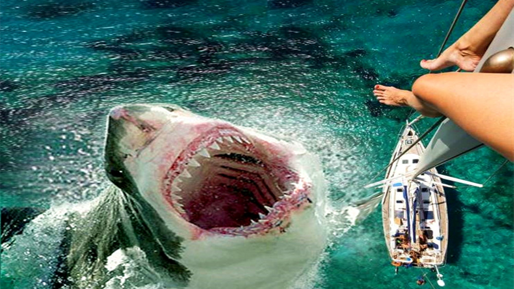 恐龙|史前灭绝的恐龙是怎么生存的？整个地球全部都是恐龙是怎样的世界？