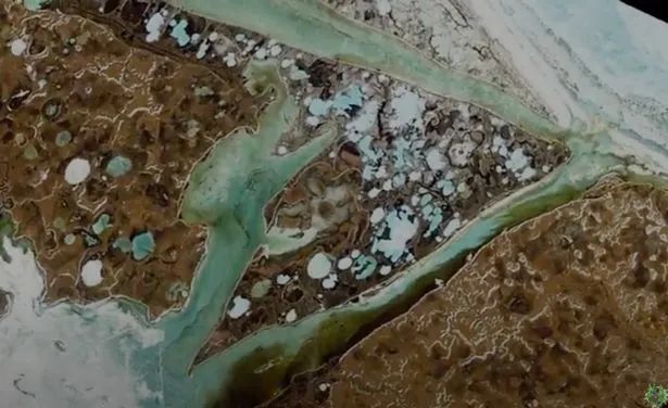 海冰|气候没指望了？新研究指出：2035年，北极可能再也看不到海冰了