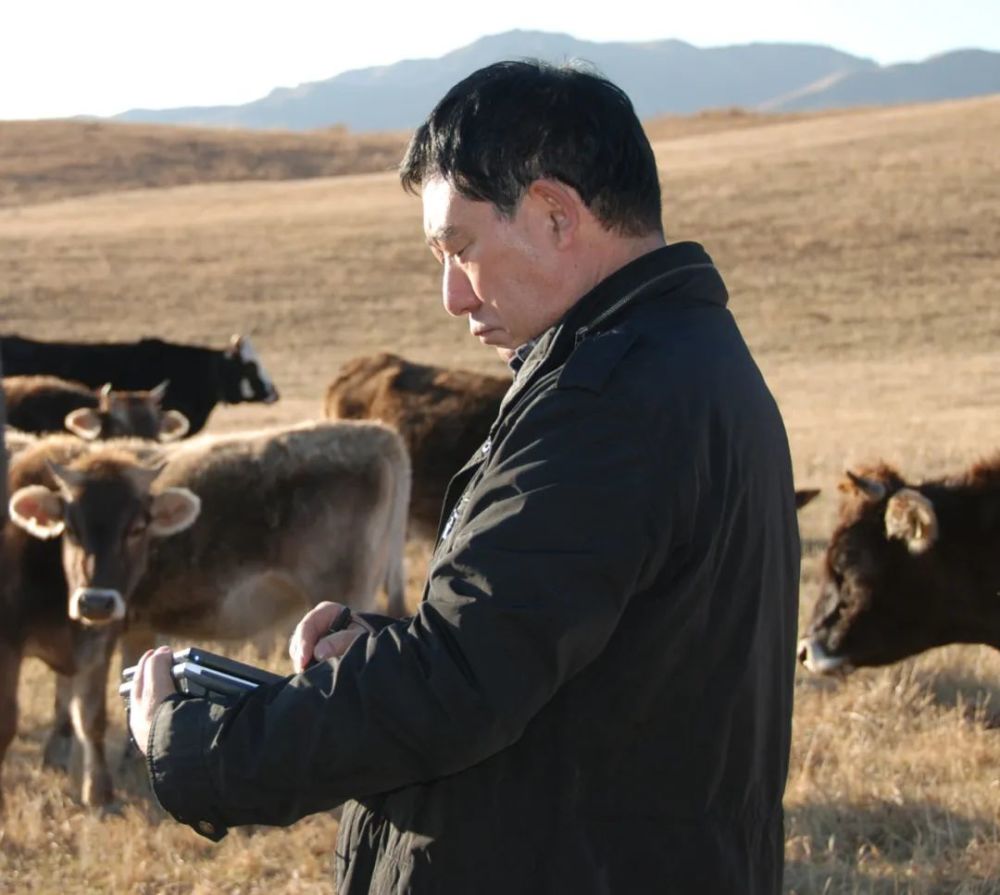 张录成|张录成：每个生命，都本是未被驯服的牛