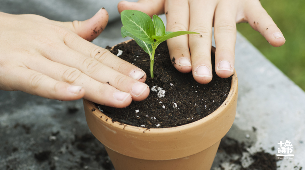 钱钟书|惊人的三大强者定律：荷花定律，鸭子定律，尖毛草定律