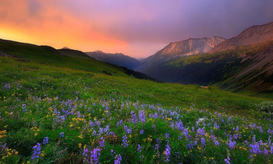 月球|如果月球突然消失，地球上会发生什么事情？