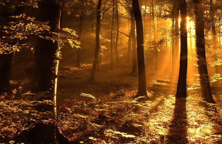 月球|如果月球突然消失，地球上会发生什么事情？