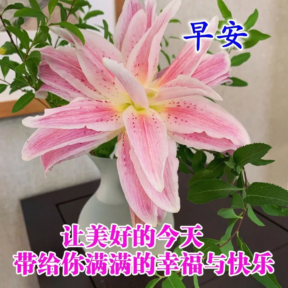 秋天早上好图片祝福语全集2020新出的微信早晨表情问候句子