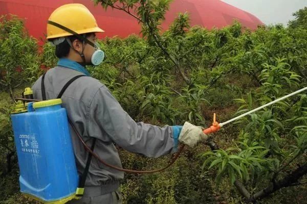 胺鲜酯|调节剂这样复配太厉害了！只要作物还能生长，喷上就管用