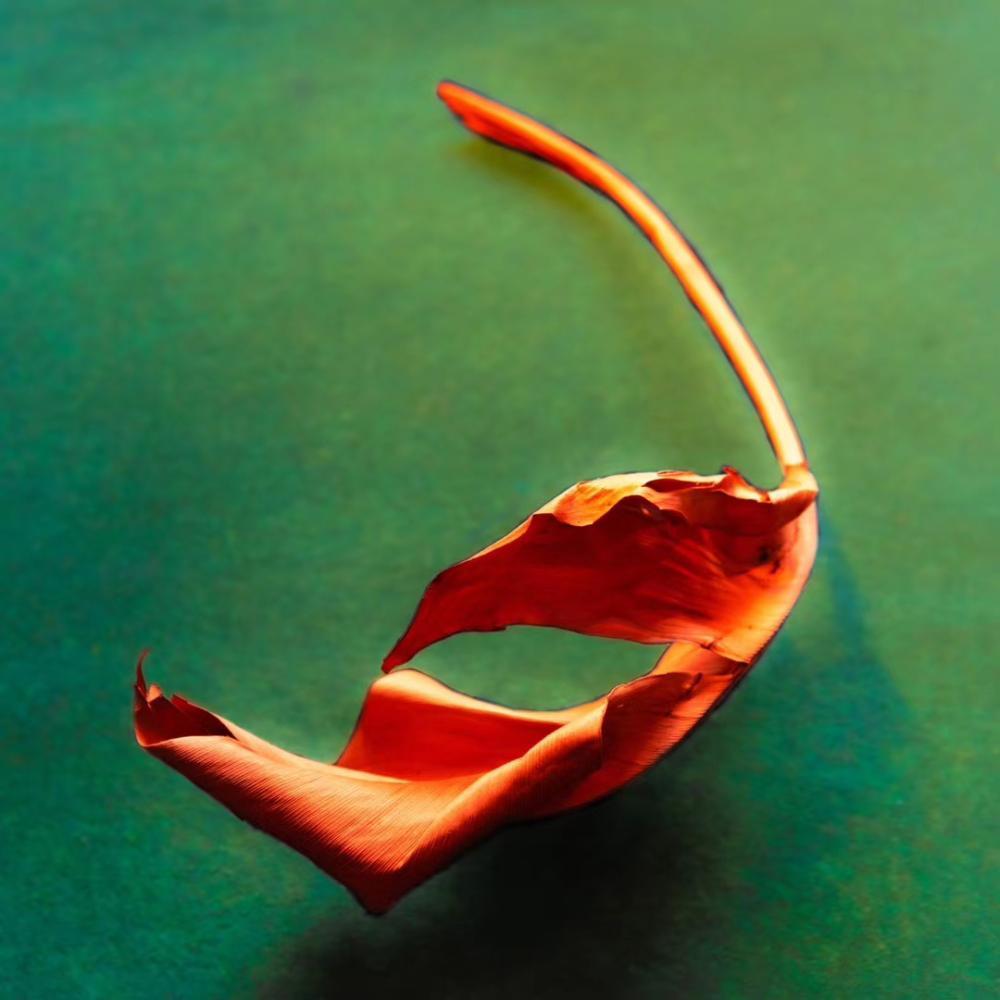 何肇娅|“上海女人”何肇娅：一个强大的人终会让自己重新上升