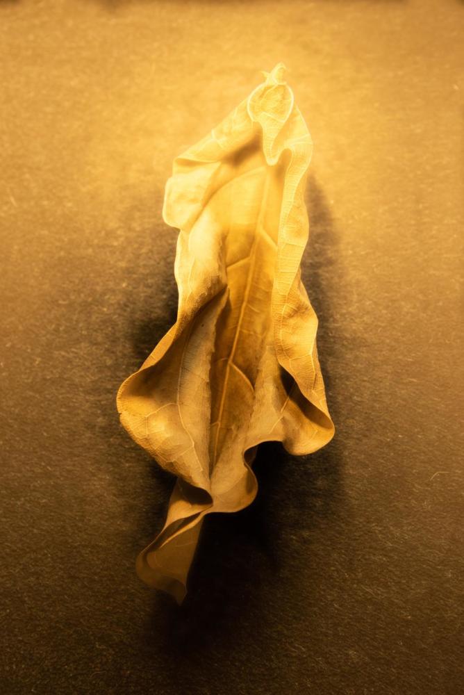 何肇娅|“上海女人”何肇娅：一个强大的人终会让自己重新上升