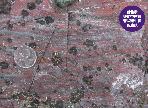 地球|石头能为我们讲地球的那些故事？