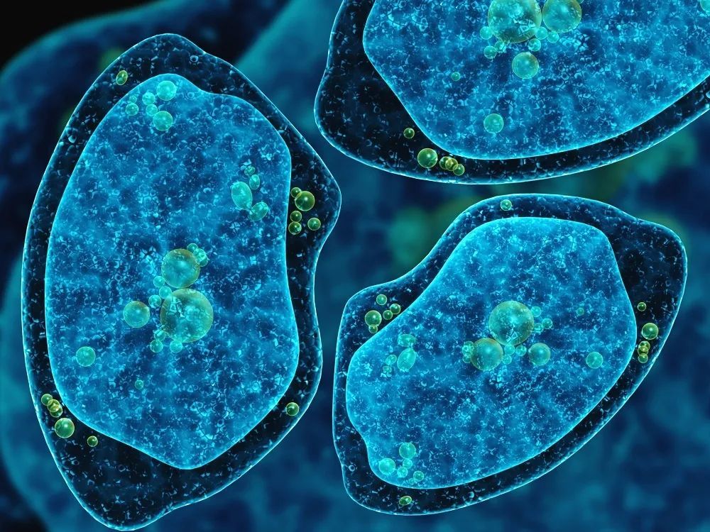 食脑虫|食脑虫又来了，中国被感染者无一生还！天热玩水，先背熟这3点