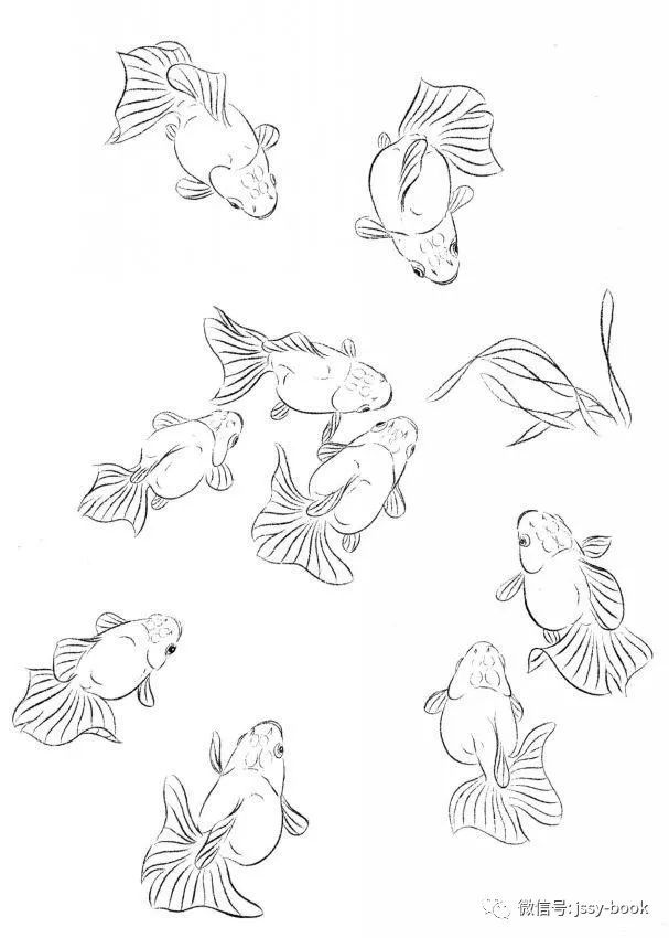 白描鱼画选页