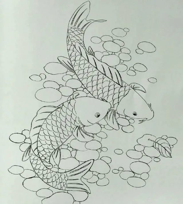 白描鱼画选页