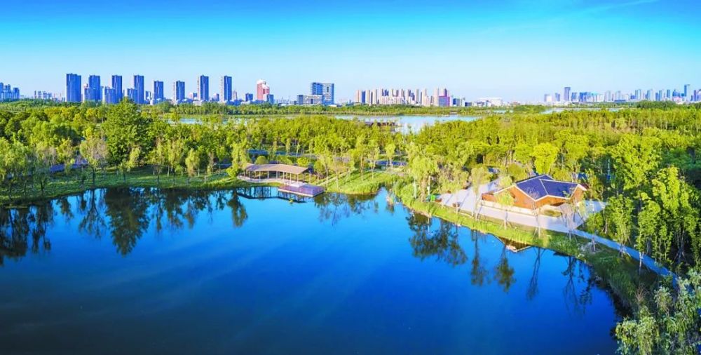 绿色合肥,越来越美!