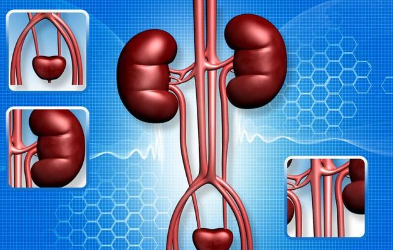 肾病|肾病最终没有尿毒症的人，大多做到了2点，非常值得借鉴