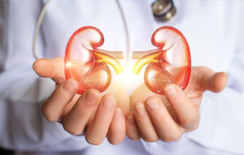 肾病|肾病最终没有尿毒症的人，大多做到了2点，非常值得借鉴