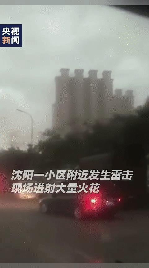 避雷器|高压线被雷击中有多危险？