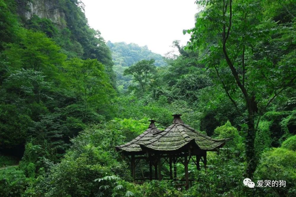 辛弃疾|辛弃疾晚年写下的这首词，忧愁之中带点张狂，连李白都要自叹不如