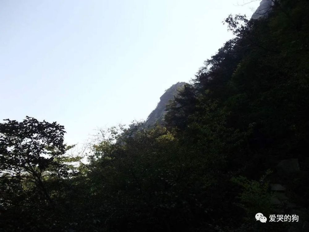 辛弃疾|辛弃疾晚年写下的这首词，忧愁之中带点张狂，连李白都要自叹不如