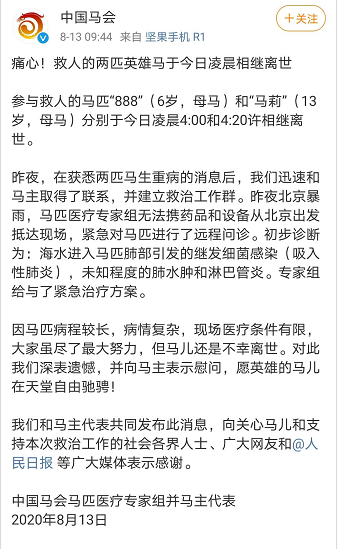 中国马业协会|痛心！救人的两匹英雄马于今日凌晨相继离世