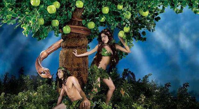 他们在伊甸园里想吃什么就吃什么,但是千万不能吃分辨善恶树的果子