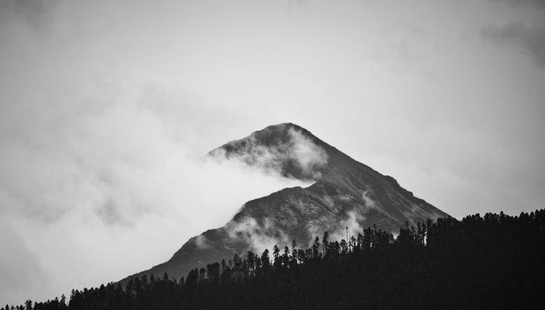 苏轼|6首哲理诗词：心中有花香，人生处处是风景