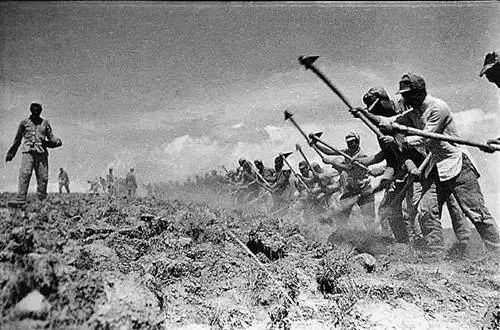 1941年春,三五九旅长兼政委王震的率领下, 奉命开进南泥湾,披荆斩棘